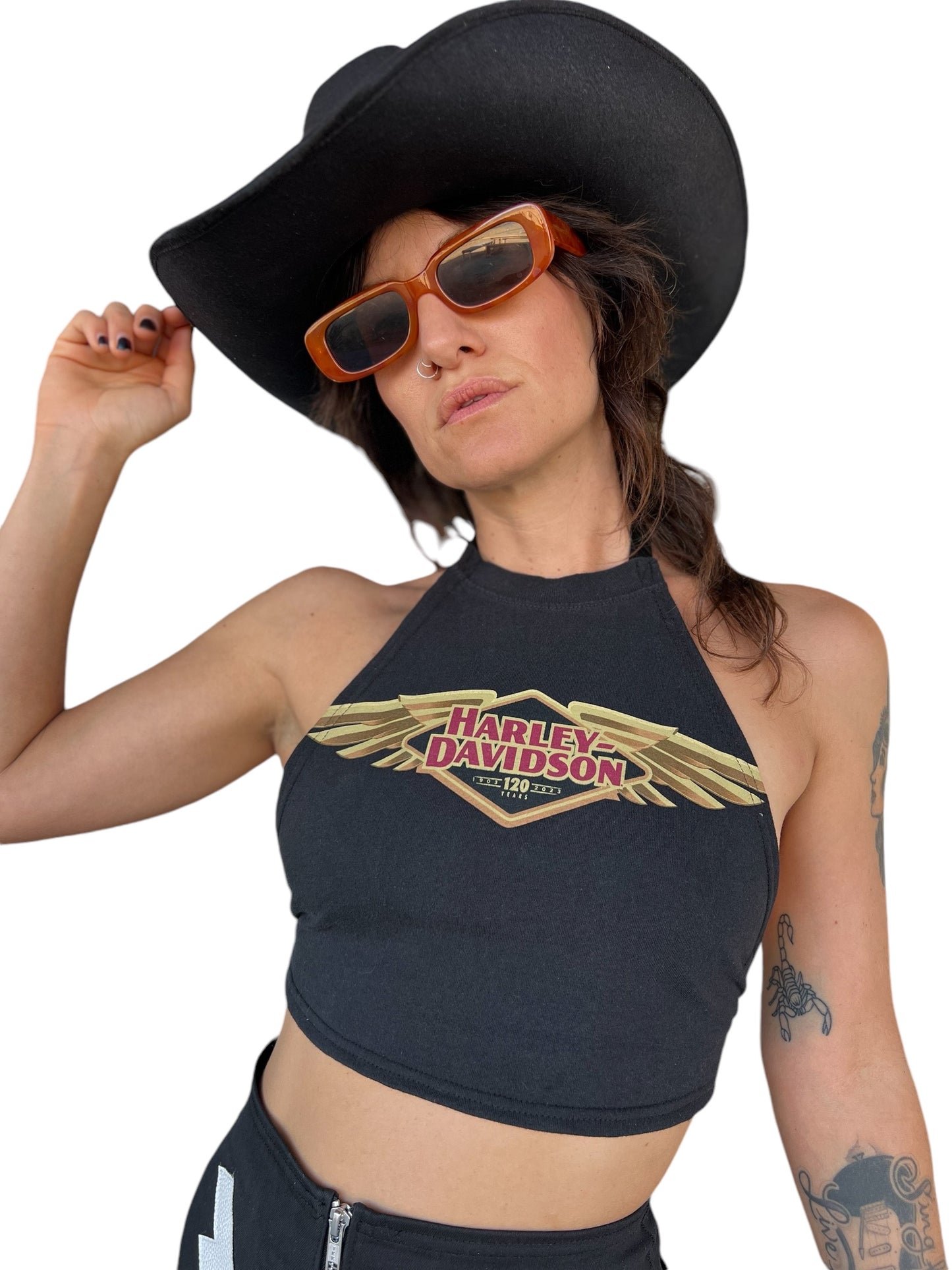 Golden Wing Harley Halter